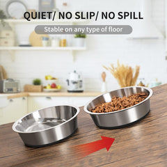 Taglory gamelle en usage par un grand chien, repas sans débordement