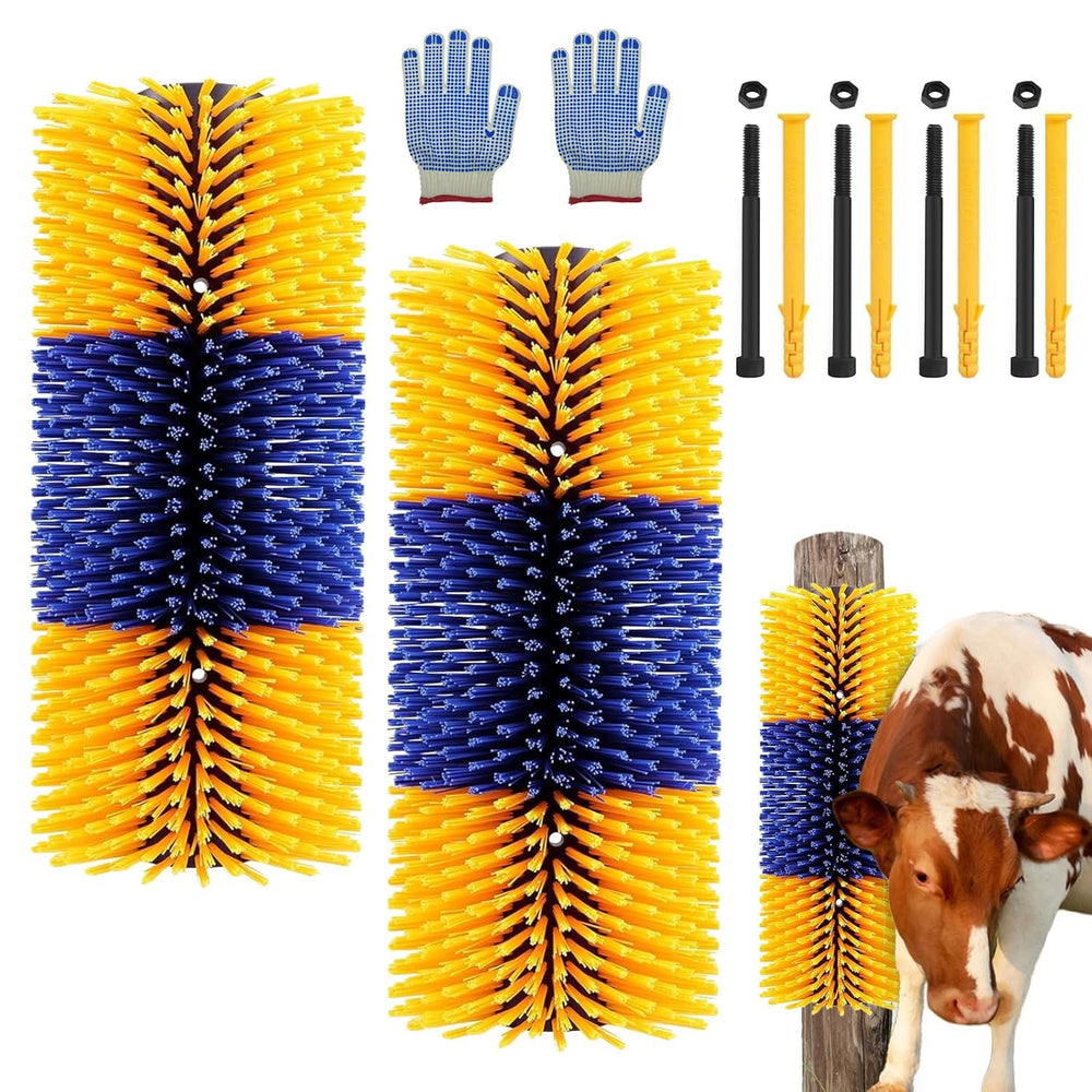 TAGYSH brosse avant emballage montrant la paire et la longueur pratique