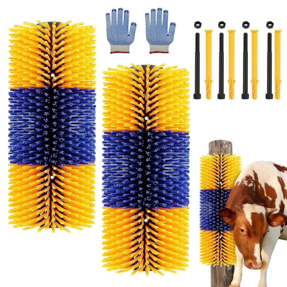 TAGYSH brosse avant emballage montrant la paire et la longueur pratique
