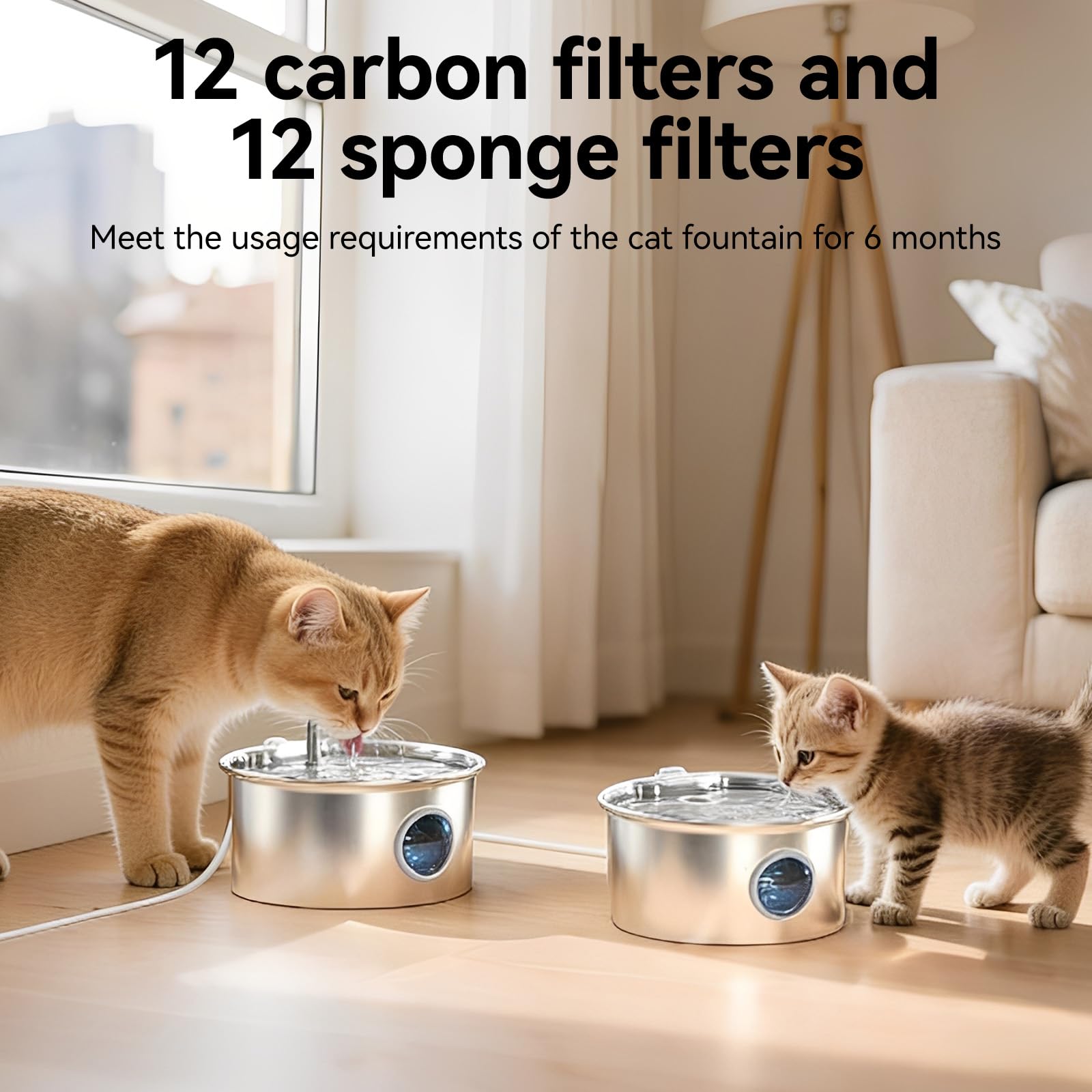 TAIIYAA fontaine en cuisine avec chat buvant, encourage hydratation régulière