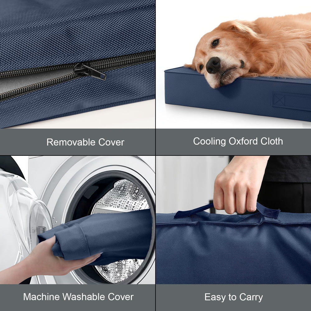 Tail Stories chien se reposant sur le lit, confort cosy en intérieur
