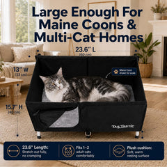 TailTastic intérieur aménagé avec coussin montrant le confort pour plusieurs chats