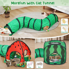 TailTastic tunnel en situation jeu montrant interaction féline active