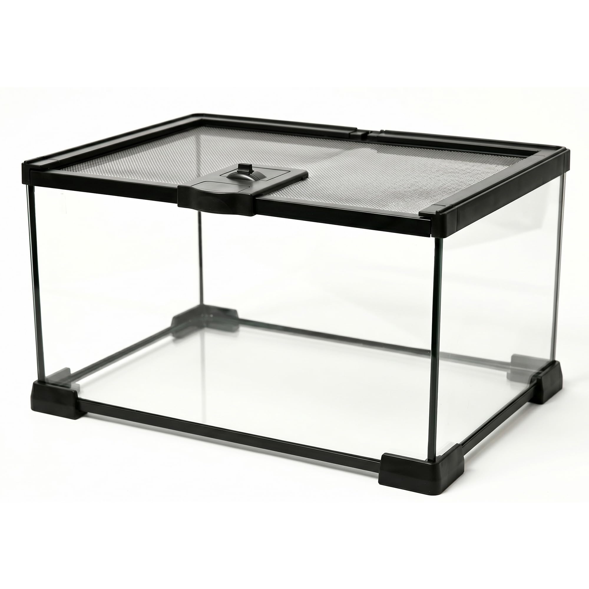 Tailwag Fable vue face du terrarium en verre montrant visibilité panoramique et sécurité
