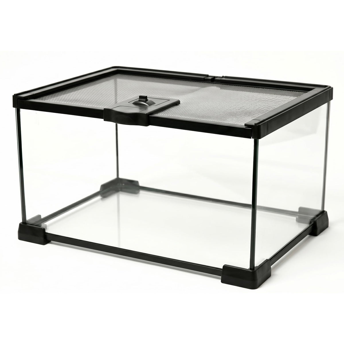 Tailwag Fable vue face du terrarium en verre montrant visibilité panoramique et sécurité