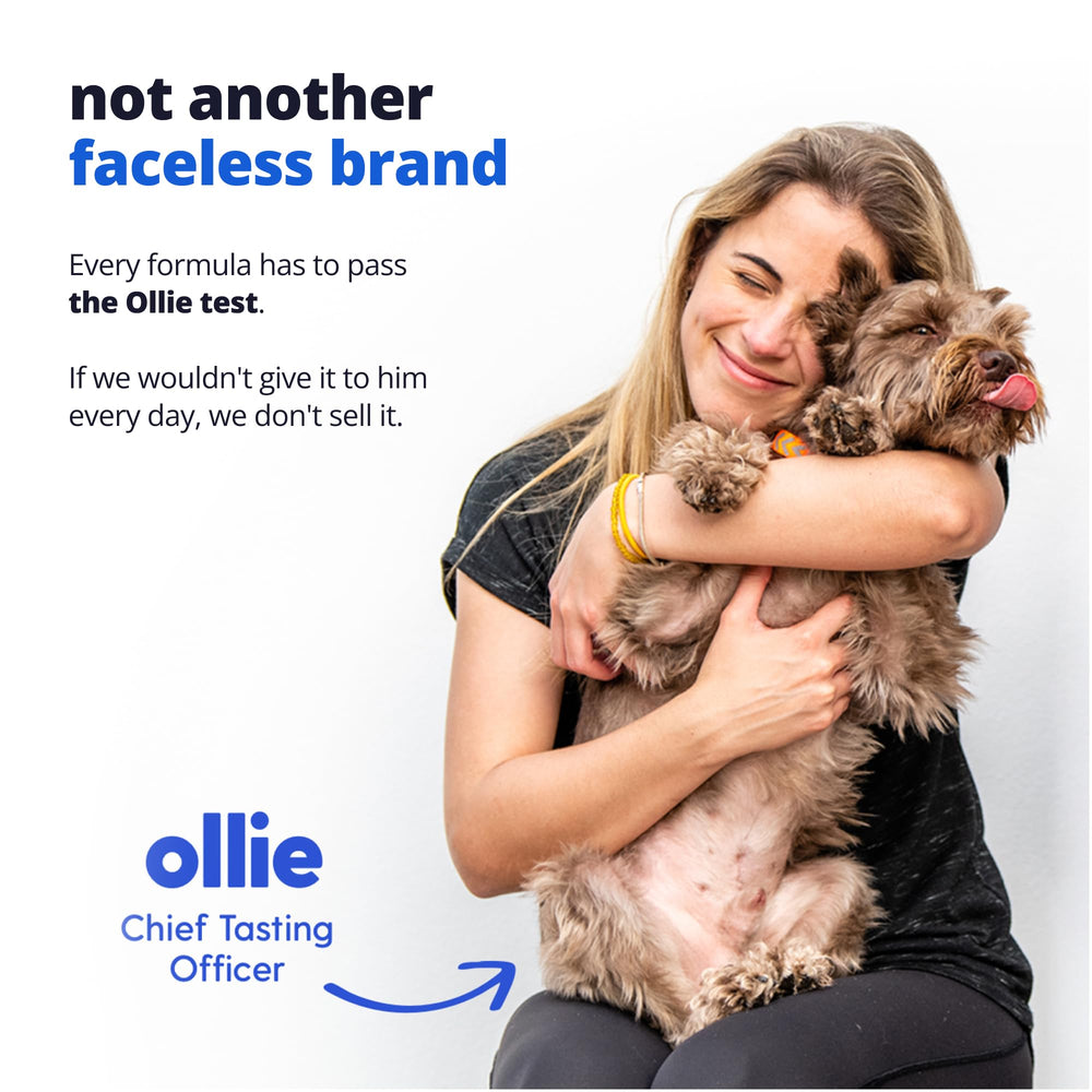 Chien senior heureux en plein air avec Taily montrant vitalité retrouvée
