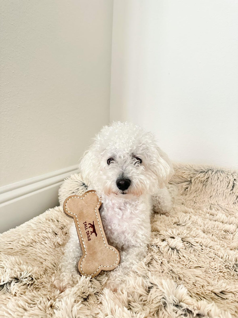 Tall Tails os comparaison taille pour choisir adapté aux petits chiens