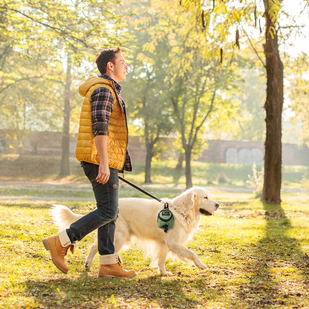 Talltalk deux couleurs vert et noir pour assortir tenue du chien