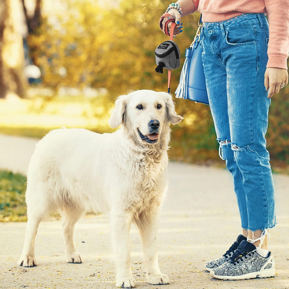 Talltalk mise en situation promenade avec chien pour accessibilité rapide
