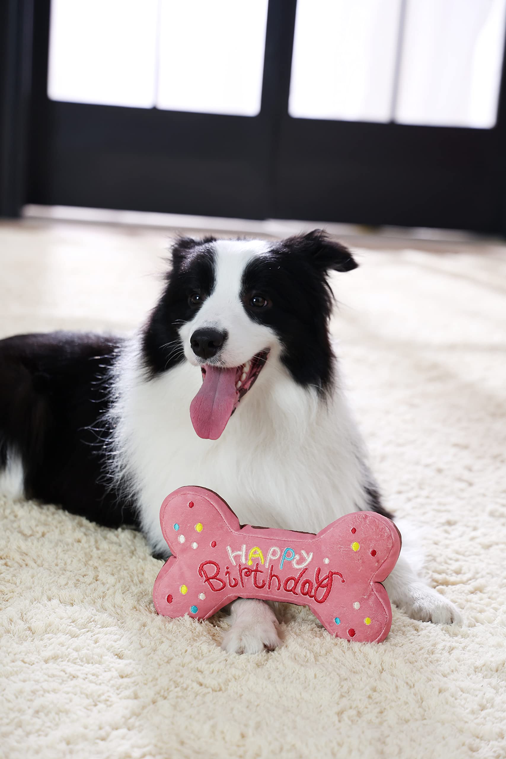 Tamu style chien jouant avec le jouet illustrant engagement et amusement