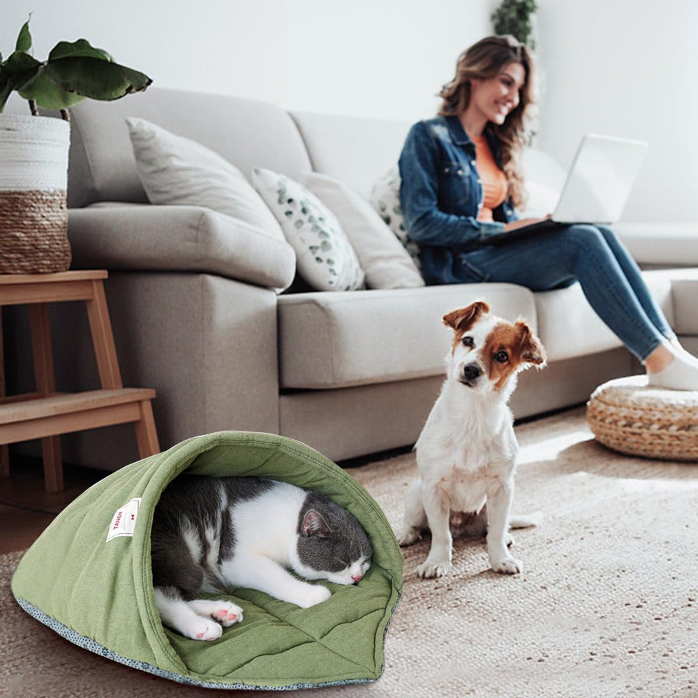 TANGN comparaison taille avec règle montrant dimensions adaptées animaux