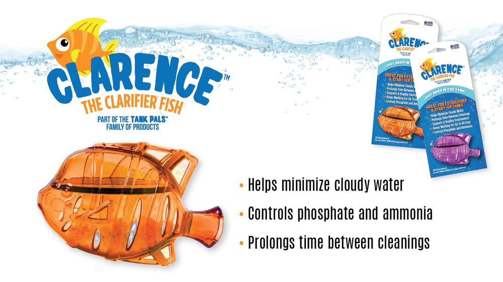 Tank Pals Clarence avec crevettes montrant compatibilité et calme pour invertébrés