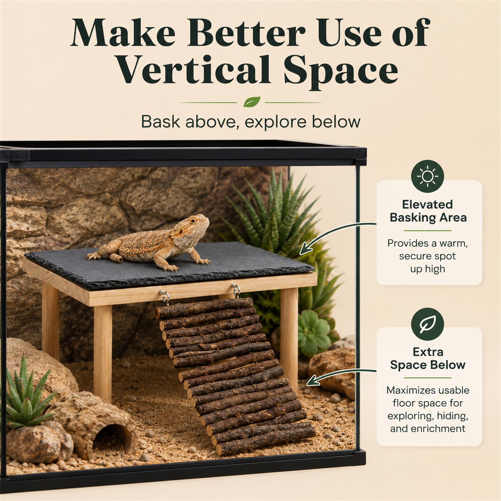 TankMatDecor plateforme installée dans terrarium améliorant habitat