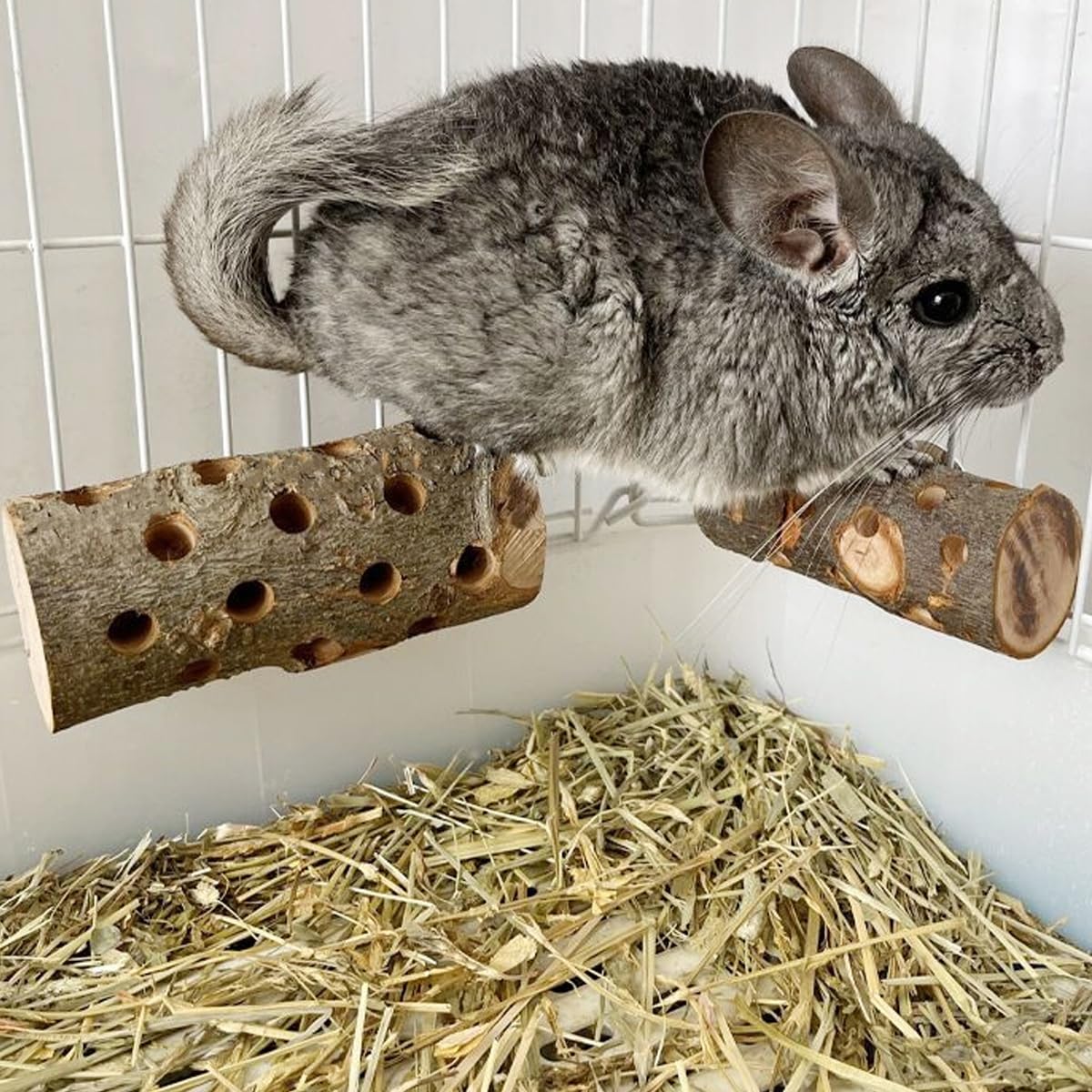 TANOMA bâton installé dans une cage avec un lapin rongeant pour stimulation et occupation