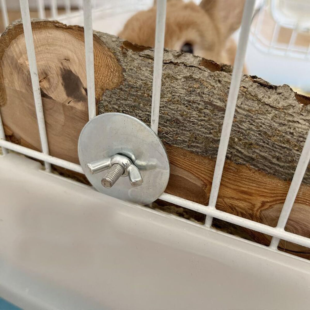 Gros plan sur la texture du bois de pomme TANOMA révélant résistance et sécurité pour ronger