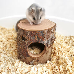 TANOMA abri en situation avec hamster, favorise cachette et confort