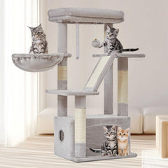 Taoqimiao vue de face de l'arbre à chat montrant structure stable pour jouer