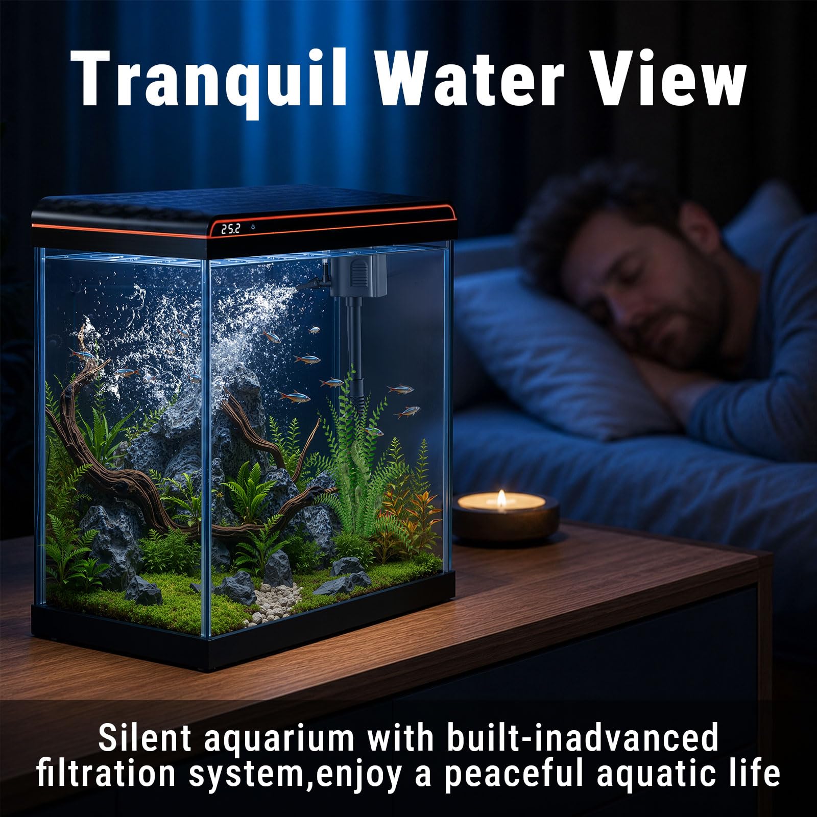 TARARIUM en contexte bureau décoratif apportant vie et caractère