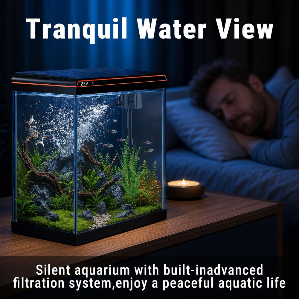 TARARIUM en contexte bureau décoratif apportant vie et caractère