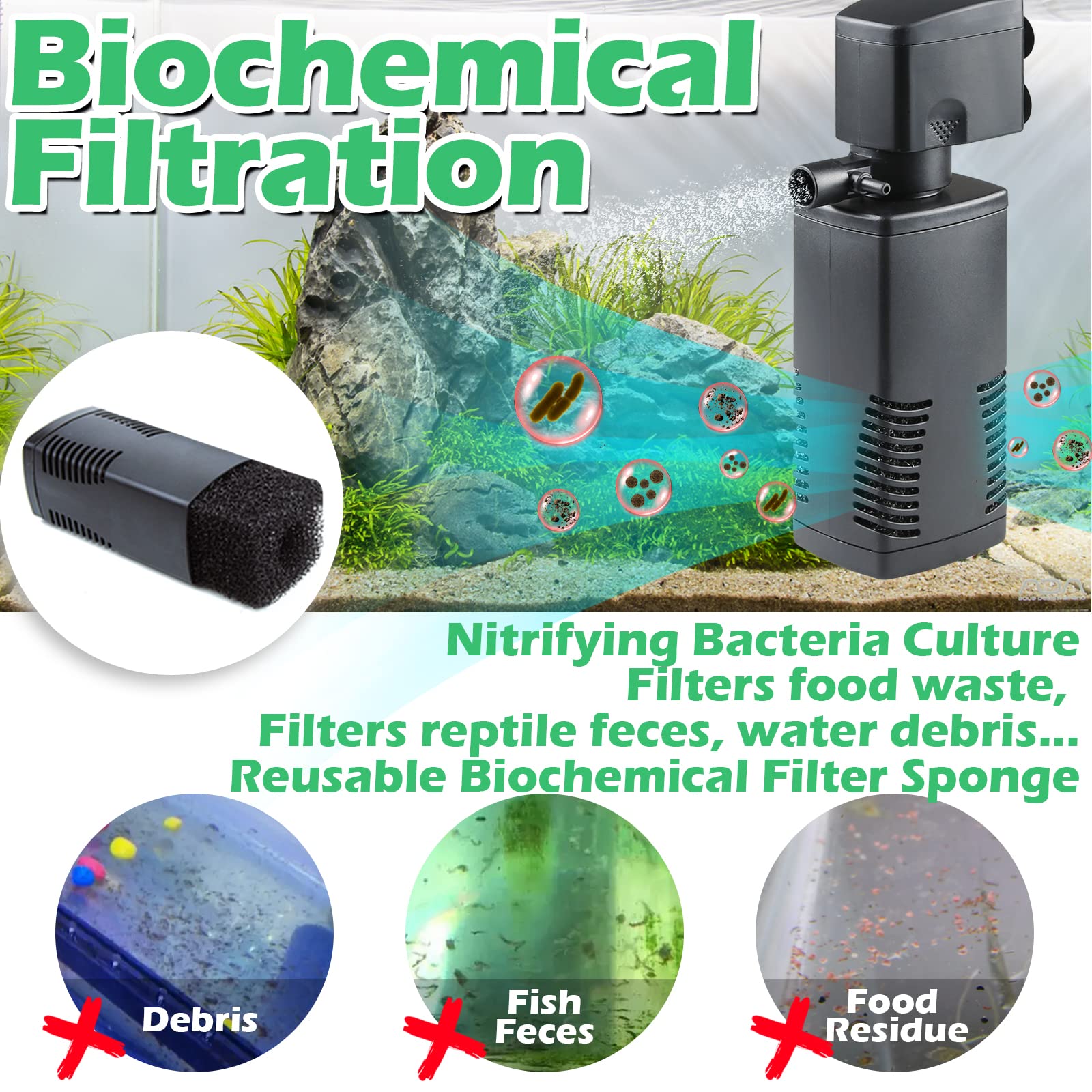 TARARIUM filtre en utilisation dans aquarium clarifiant l'eau rapidement