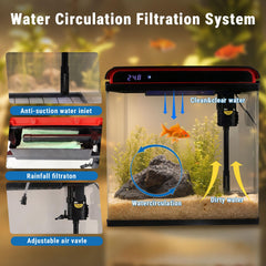 TARARIUM avec betta et crevettes montrant environnement adapté et calme
