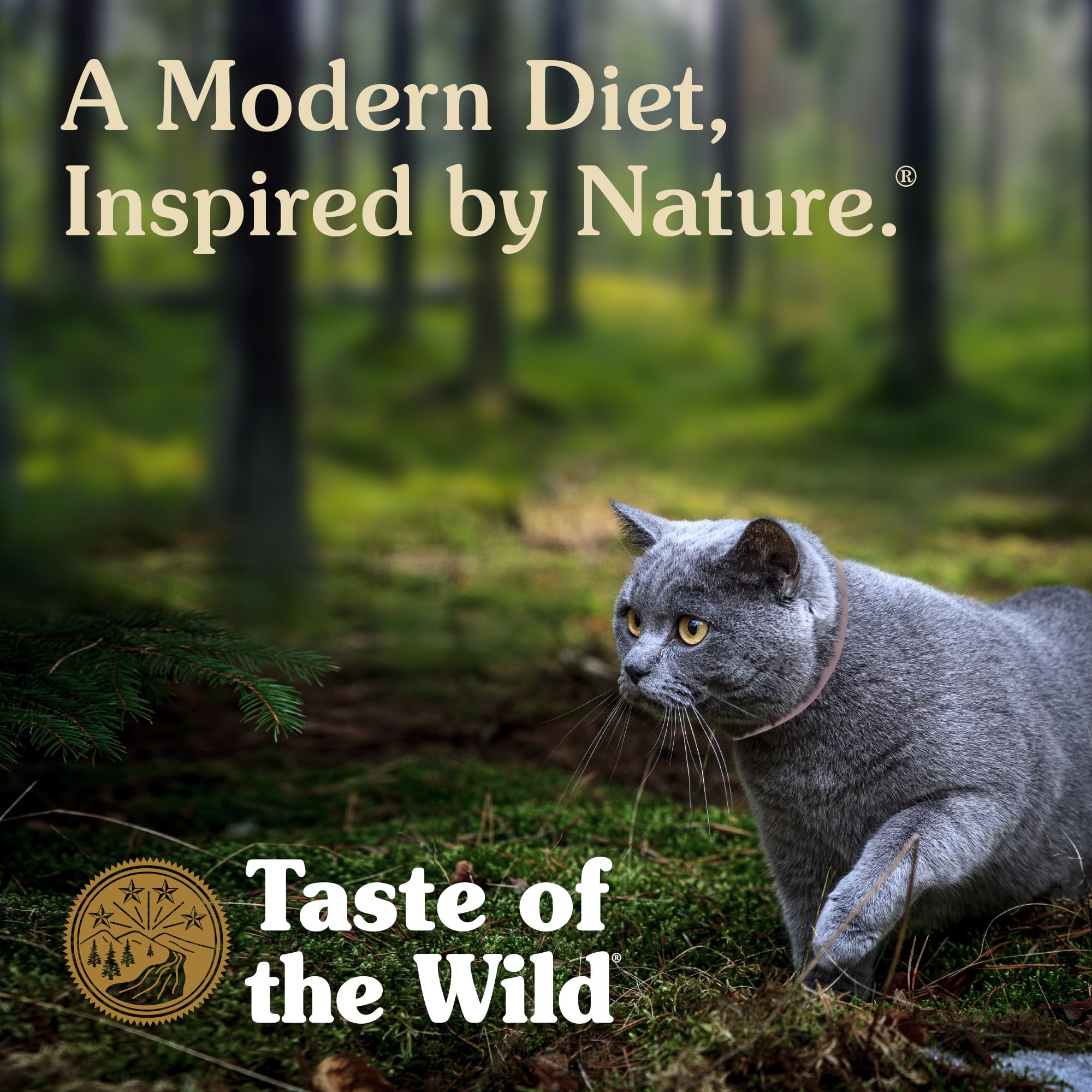 Taste of the Wild image d'ingrédient truite soulignant source de protéines de qualité