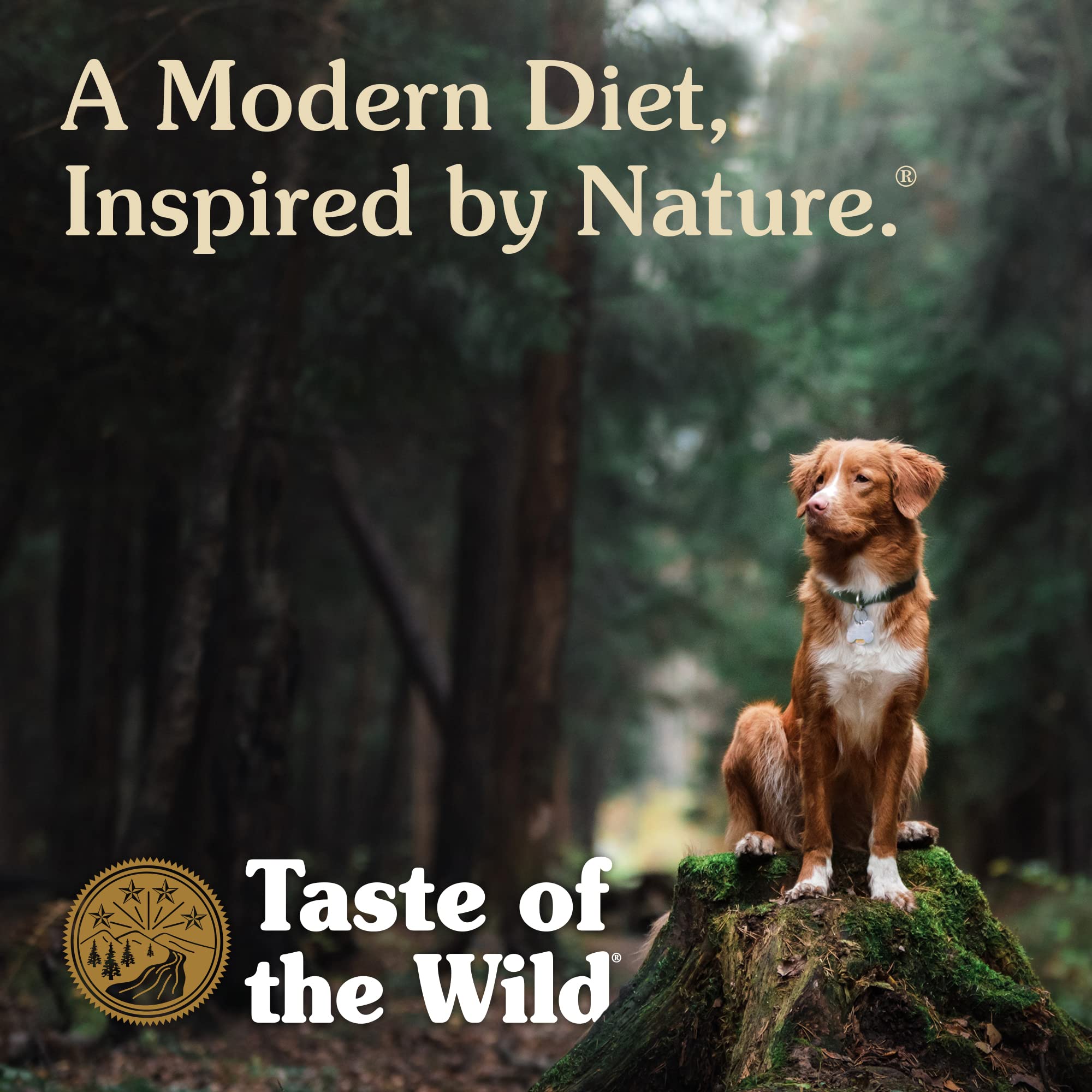Taste of the Wild comparaison de taille de la boîte pour évaluer portion