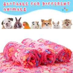 Tatuo gros plan texture velours corail douceur pour animal