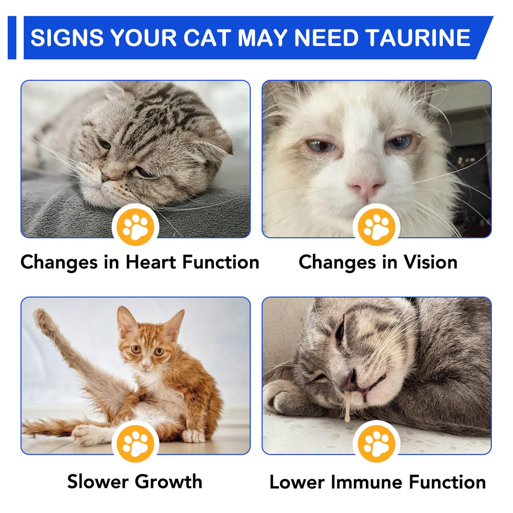Generic taurin chaton et produit souligne usage dès le plus jeune âge