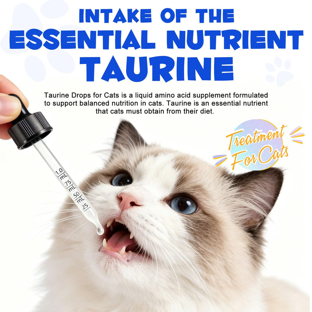 Generic taurin main de propriétaire administrant gouttes facilement