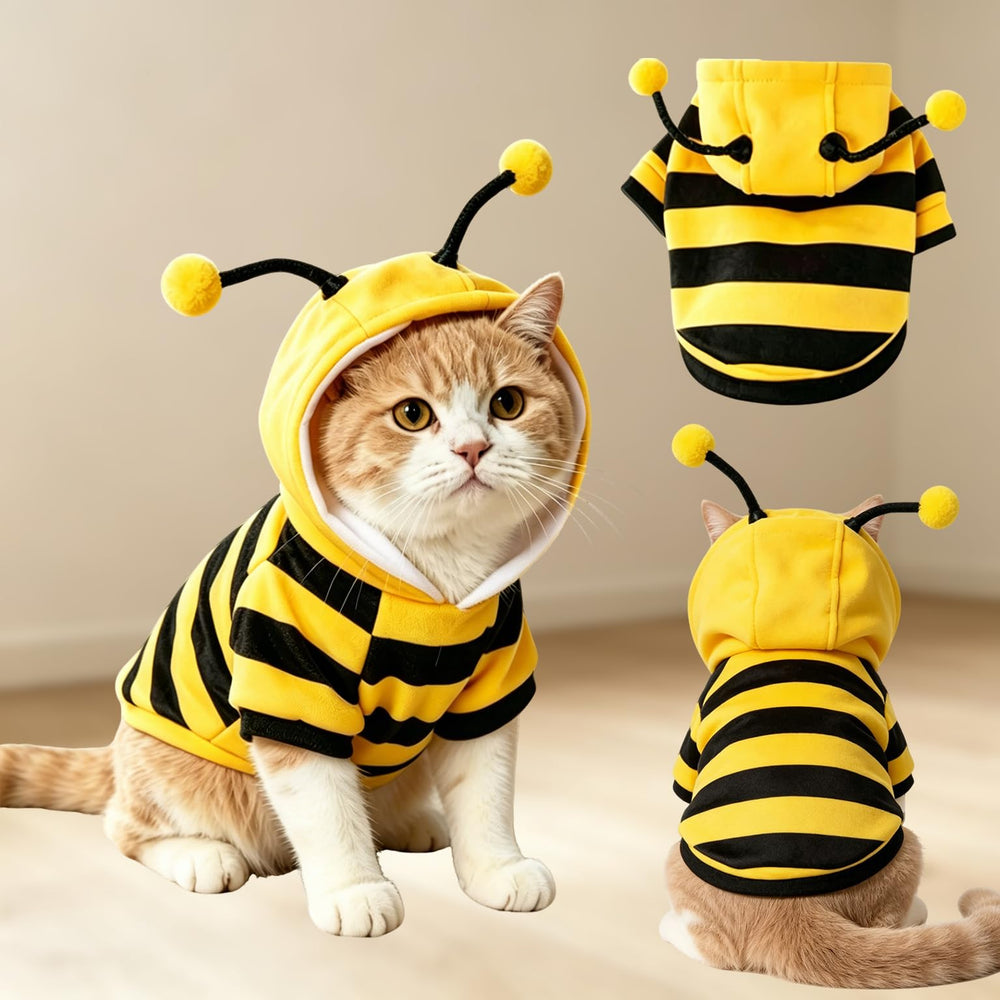 TBAMTBW hoodie abeille face montrant tenue rayée et confort