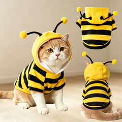 TBAMTBW hoodie abeille face montrant tenue rayée et confort