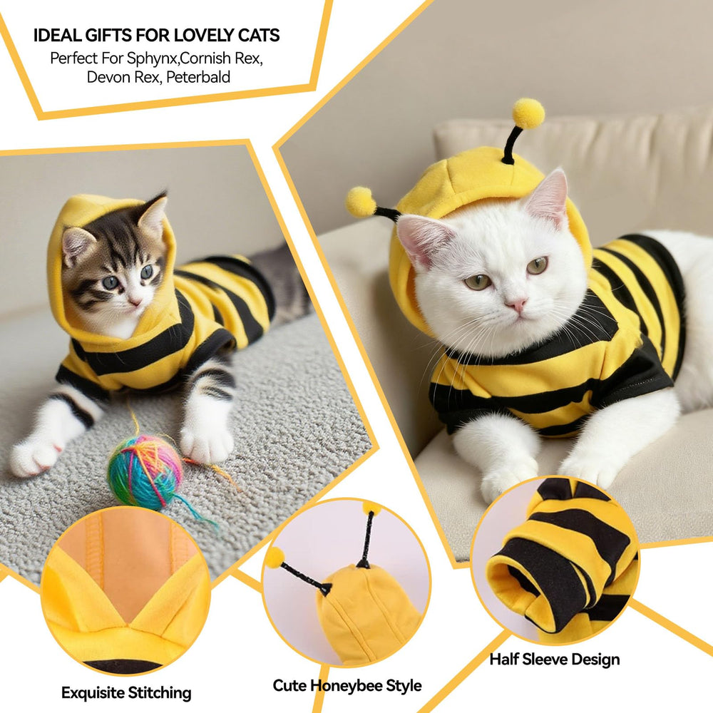 TBAMTBW chien costumé en abeille lors d'une soirée Halloween festive