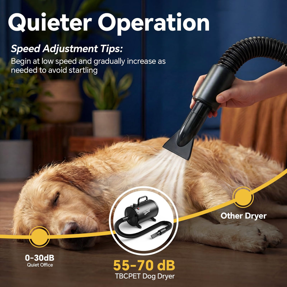 TBC PET comparaison taille avec un chien moyen pour visualiser échelle