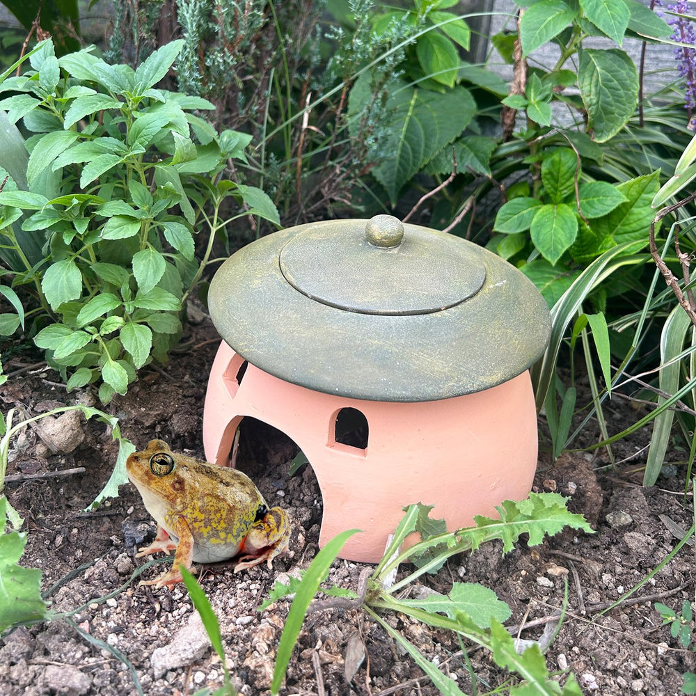 Tbpro intérieur ouvert montrant l'espace sécurisé pour petits animaux