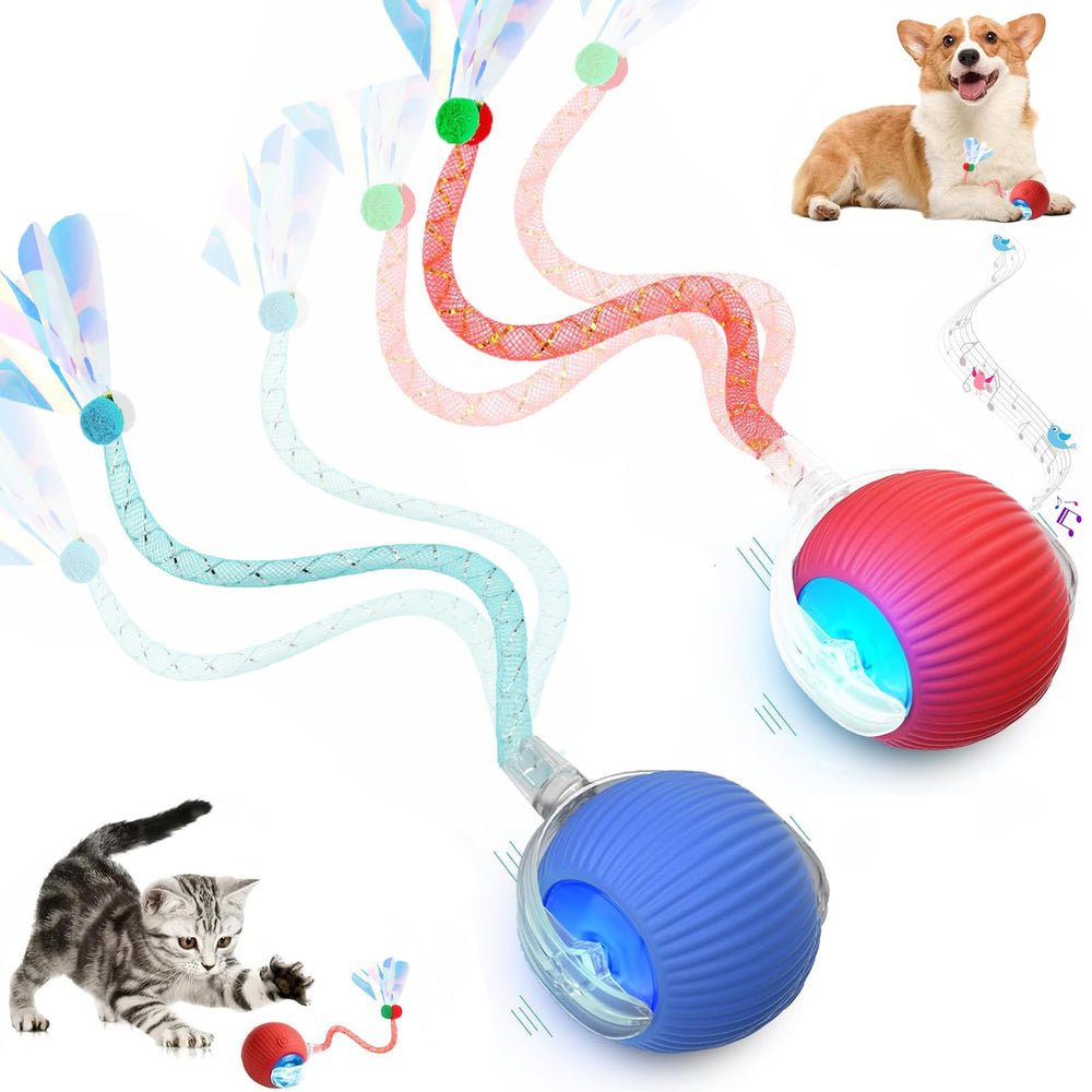 Tchernt balle avant du pack montrant emballage et design, attire le chat