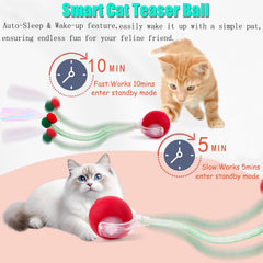 Tchernt chat en train de chasser la balle, encourage activité et exercice