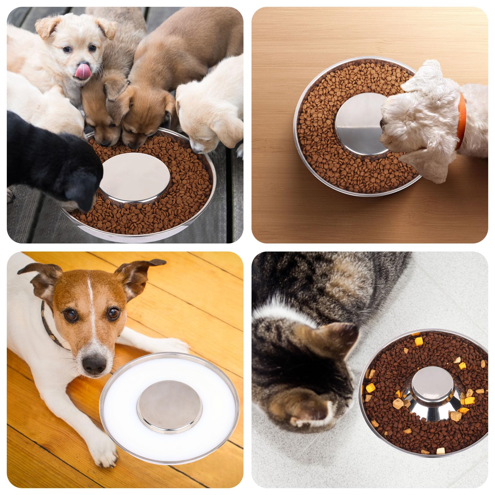 tchrules gamelle en lifestyle cuisine durable et hygiénique