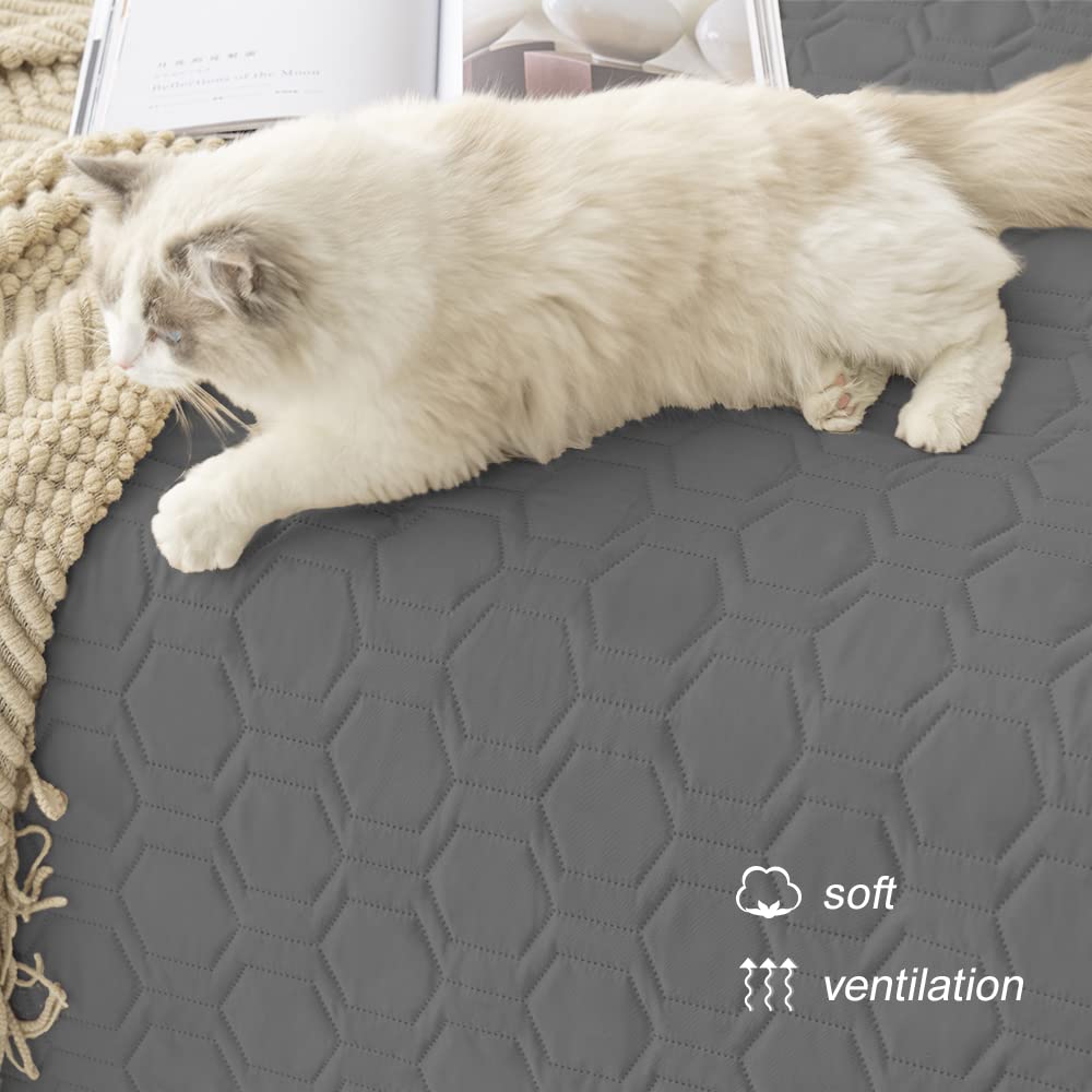 Tcksstex chien se repose sur housse confort et protection