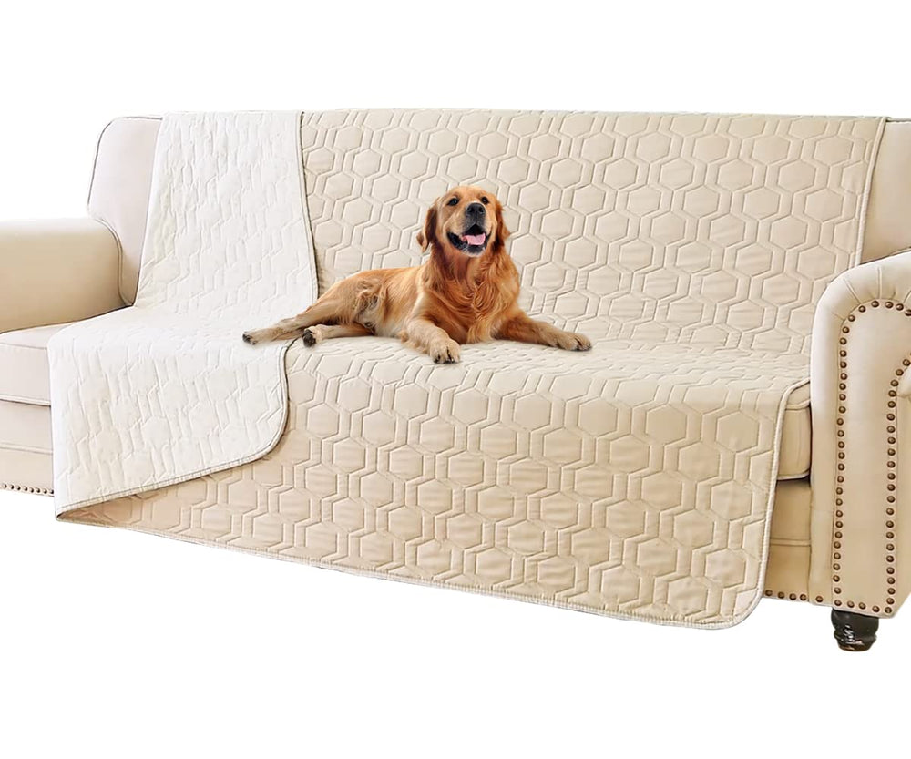 Tcksstex housse devant canapé montrant protection et confort