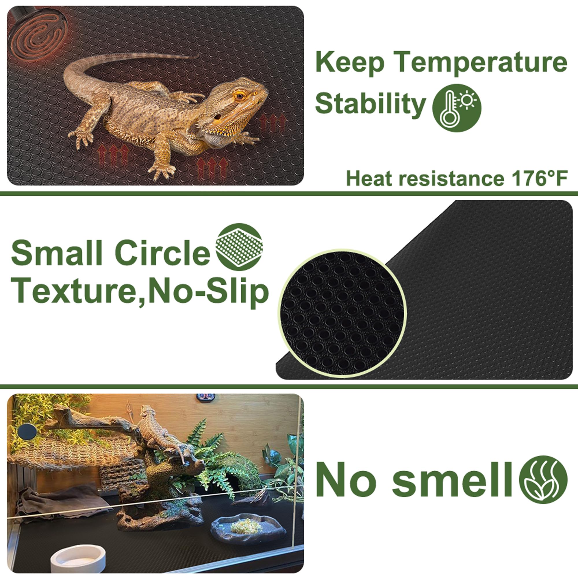 TCYPUHL tapis installé avec un dragon barbu, surface sûre et propre