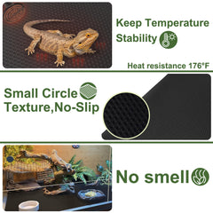 TCYPUHL tapis installé avec un dragon barbu, surface sûre et propre