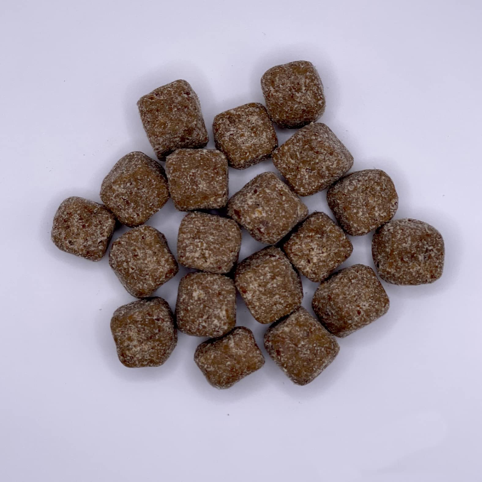 Team Dog chiot recevant friandise et appréciant la saveur naturelle