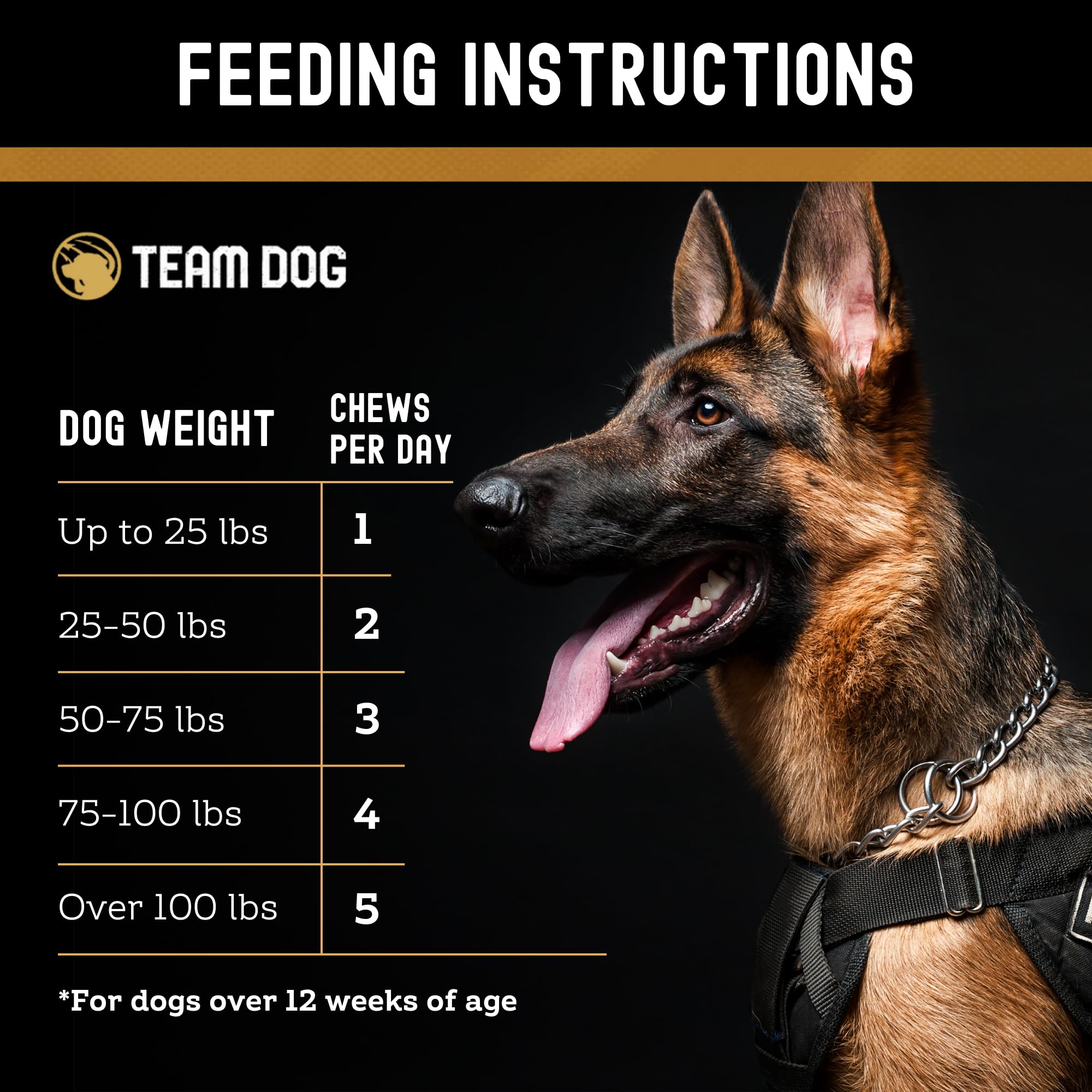 Team Dog étiquette nutrition lisible indiquant composition et transparence