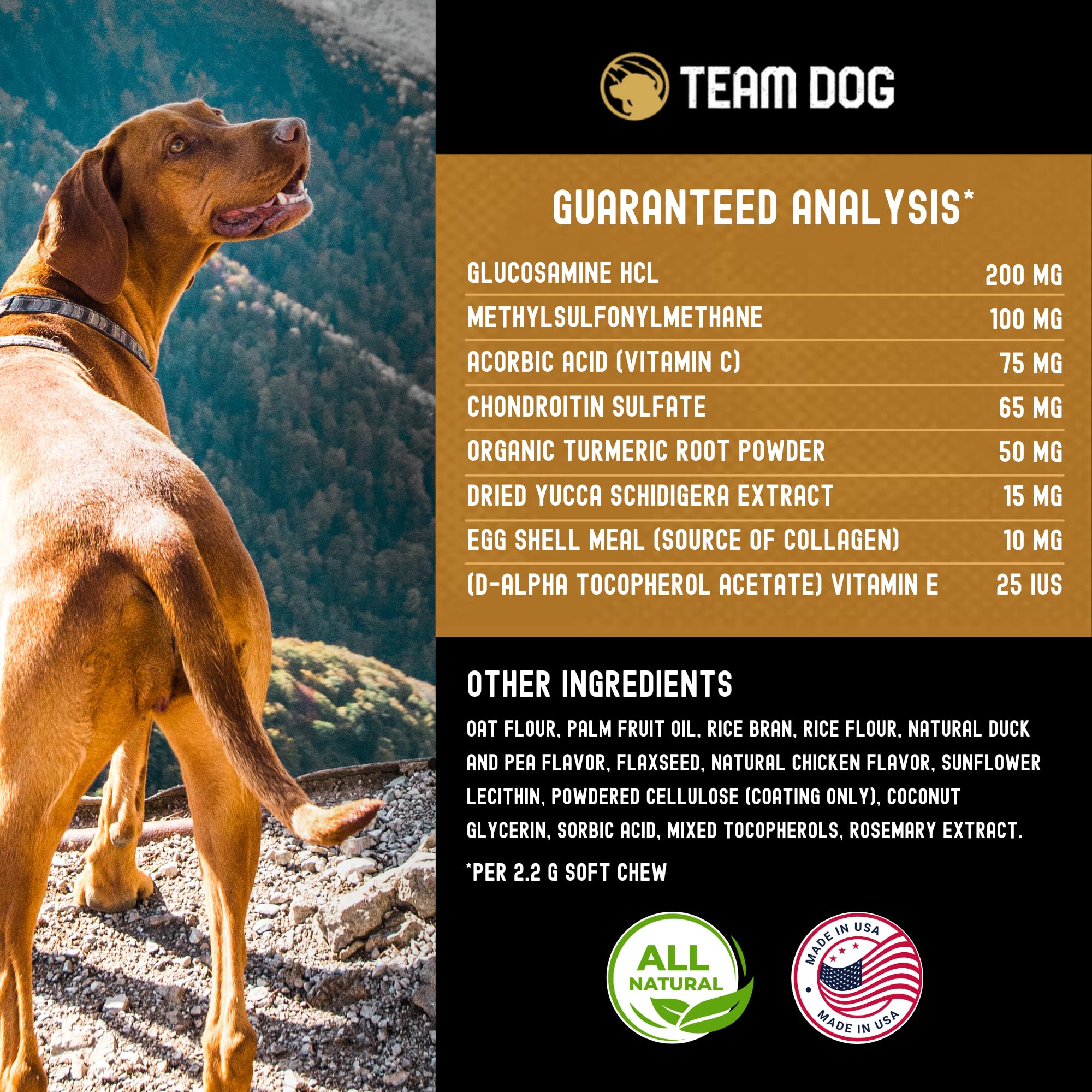 Team Dog ingrédient glucosamine en focus pour soutien articulaire clair
