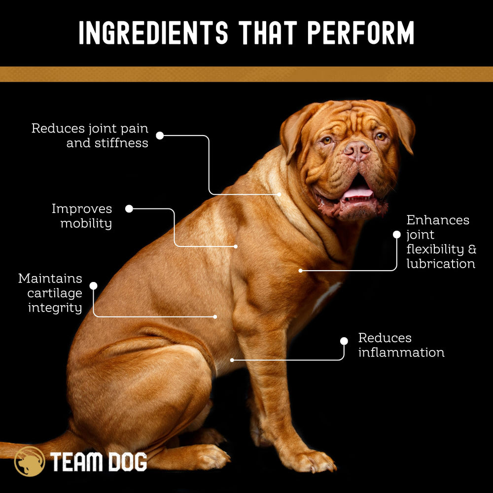 Team Dog pastilles dans la main pour échelle et facilité d'administration
