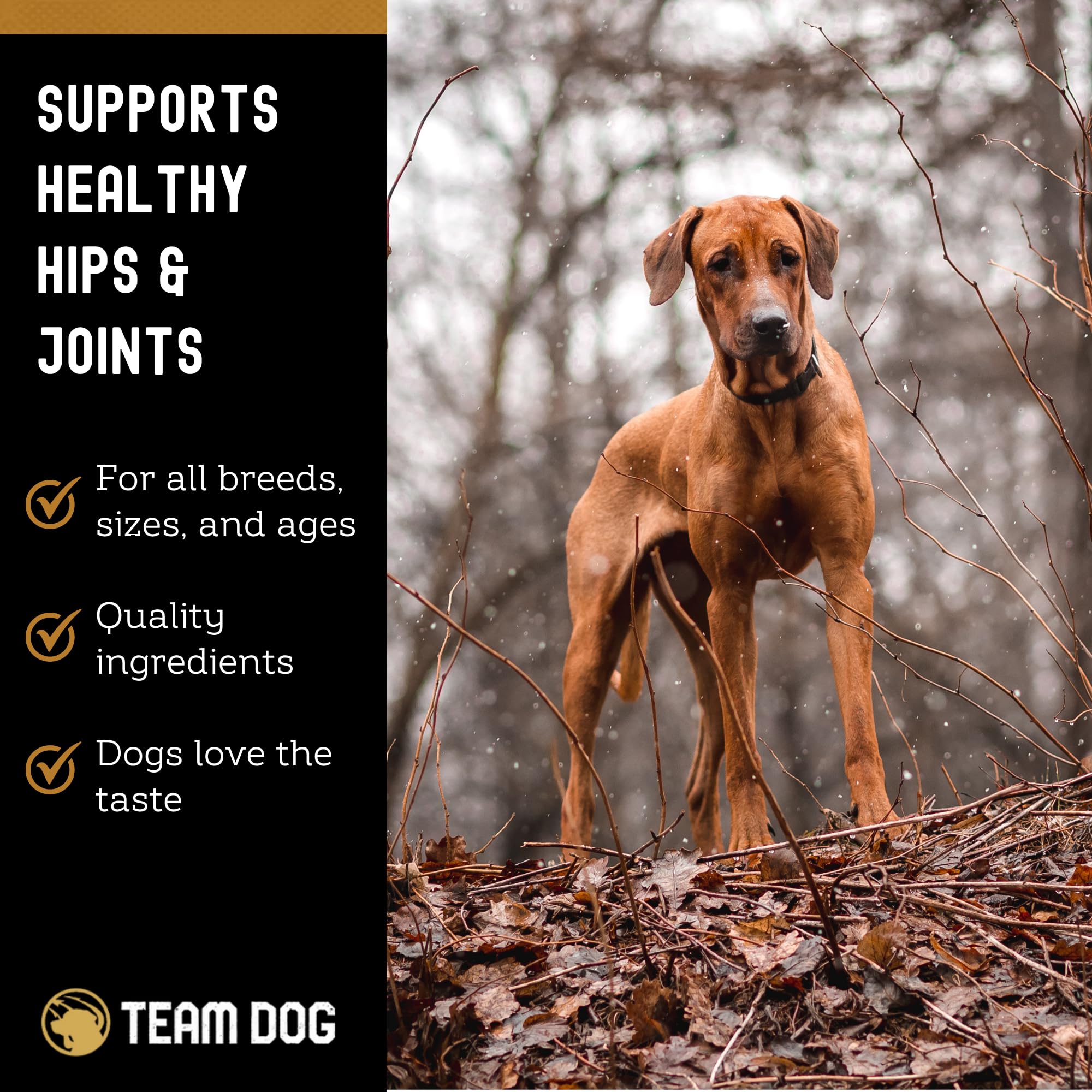 Team Dog texture mastiquable montrant ingrédient préservé et bénéfice nutritionnel