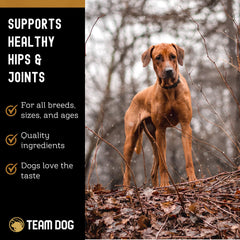 Team Dog texture mastiquable montrant ingrédient préservé et bénéfice nutritionnel