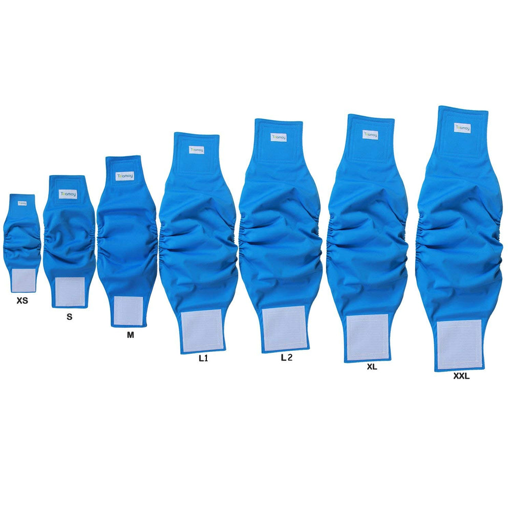 Teamoy chien en promenade avec ceinture, discrétion et protection active