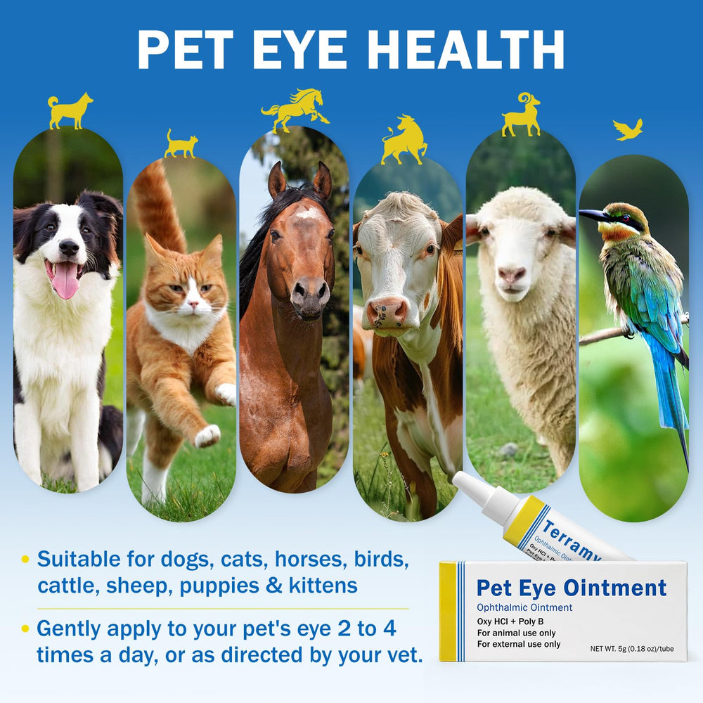 Teardux application sur chien pour confort et zone propre